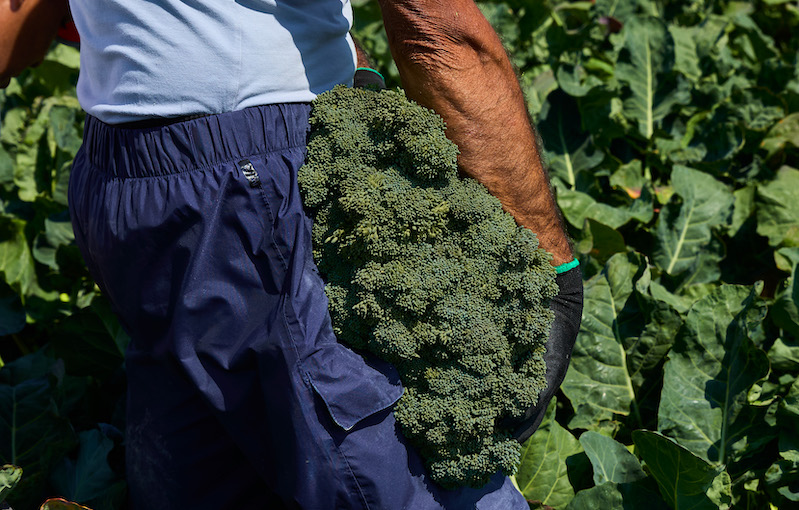 How Mindful Chef & Barfoots bring you the best Tenderstem®